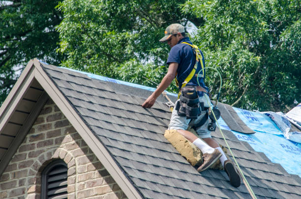 Best Roof Restoration Services  in Manistee, MI