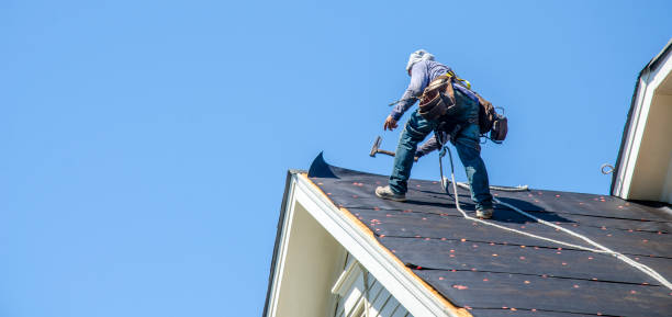 Best Metal Roofing Contractor  in Manistee, MI